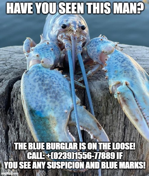 The blue Burglar | HAVE YOU SEEN THIS MAN? THE BLUE BURGLAR IS ON THE LOOSE!
CALL: +(0239)1556-77889 IF YOU SEE ANY SUSPICION AND BLUE MARKS! | image tagged in burglar | made w/ Imgflip meme maker