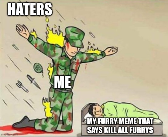 bruh stop hatin on my kill all furry memes | HATERS; ME; MY FURRY MEME THAT SAYS KILL ALL FURRYS | image tagged in soldier protecting sleeping child | made w/ Imgflip meme maker