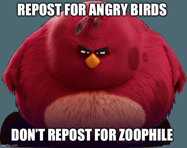 Angry Birds - Terence | REPOST FOR ANGRY BIRDS; DON’T REPOST FOR ZOOPHILE | image tagged in angry birds - terence | made w/ Imgflip meme maker