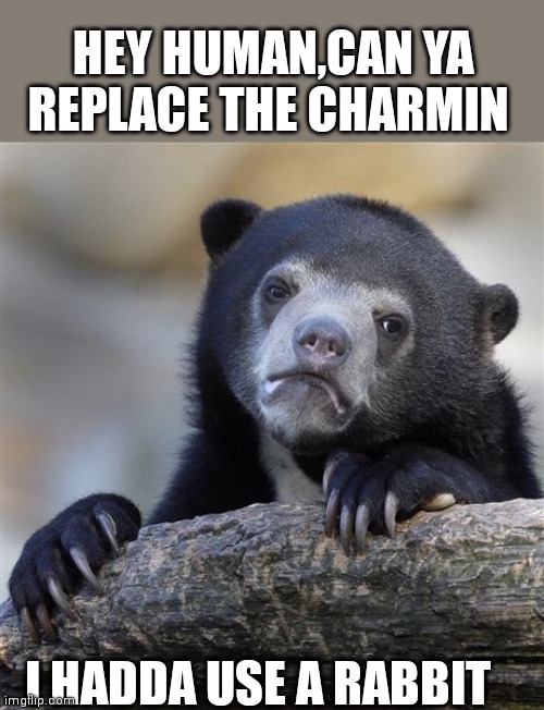 Confession Bear | HEY HUMAN,CAN YA REPLACE THE CHARMIN; I HADDA USE A RABBIT | image tagged in memes,confession bear | made w/ Imgflip meme maker