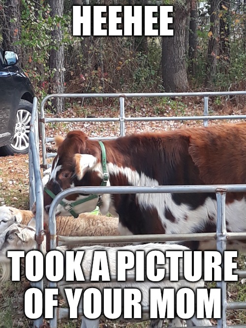 HEEHEE; TOOK A PICTURE OF YOUR MOM | made w/ Imgflip meme maker