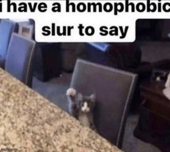 i have a homophobic slur to say | image tagged in i have a homophobic slur to say | made w/ Imgflip meme maker
