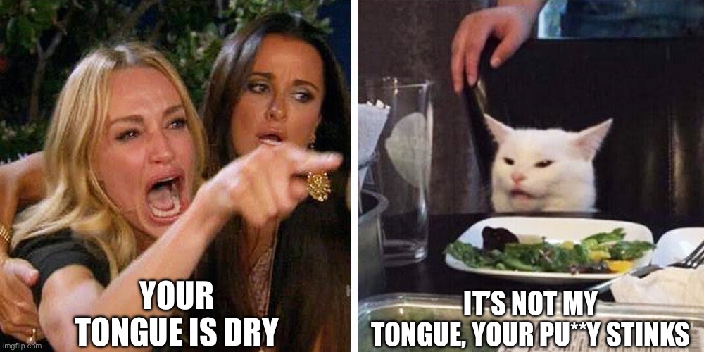Smudge the cat | YOUR TONGUE IS DRY IT’S NOT MY TONGUE, YOUR PU**Y STINKS | image tagged in smudge the cat | made w/ Imgflip meme maker