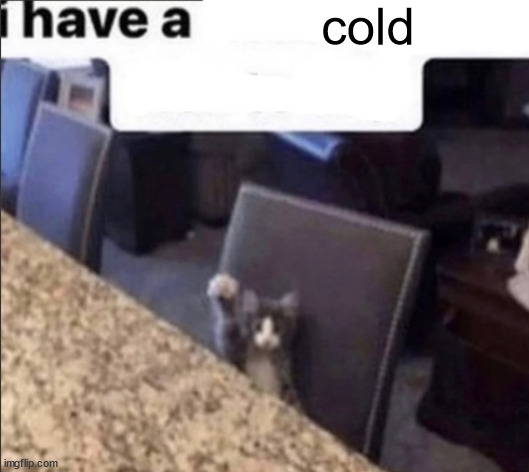 i have a blank | cold | image tagged in i have a blank | made w/ Imgflip meme maker