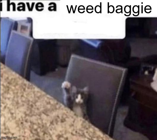 i have a blank | weed baggie | image tagged in i have a blank | made w/ Imgflip meme maker