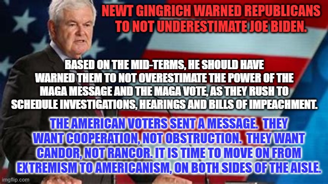 A Newt Day In America? | NEWT GINGRICH WARNED REPUBLICANS TO NOT UNDERESTIMATE JOE BIDEN. BASED ON THE MID-TERMS, HE SHOULD HAVE WARNED THEM TO NOT OVERESTIMATE THE POWER OF THE MAGA MESSAGE AND THE MAGA VOTE, AS THEY RUSH TO SCHEDULE INVESTIGATIONS, HEARINGS AND BILLS OF IMPEACHMENT. THE AMERICAN VOTERS SENT A MESSAGE.  THEY WANT COOPERATION, NOT OBSTRUCTION.  THEY WANT CANDOR, NOT RANCOR. IT IS TIME TO MOVE ON FROM EXTREMISM TO AMERICANISM, ON BOTH SIDES OF THE AISLE. | image tagged in politics | made w/ Imgflip meme maker