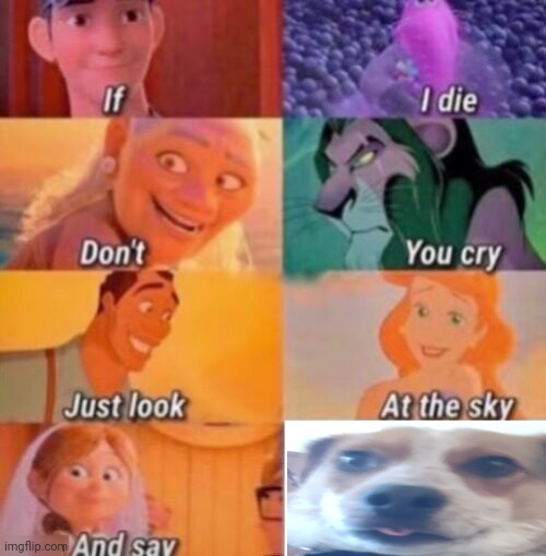 My dog | image tagged in if i die | made w/ Imgflip meme maker