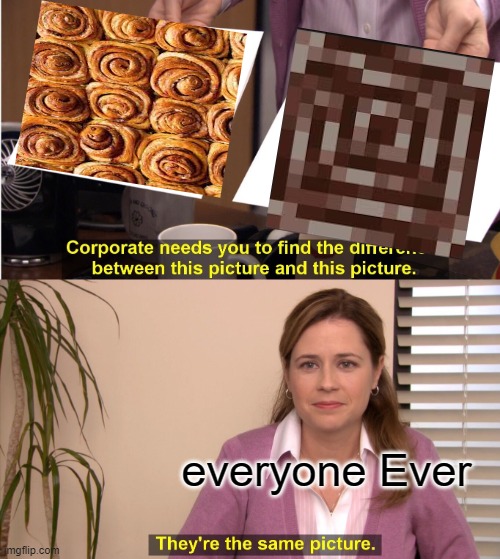 They're The Same Picture | everyone Ever | image tagged in memes,they're the same picture | made w/ Imgflip meme maker