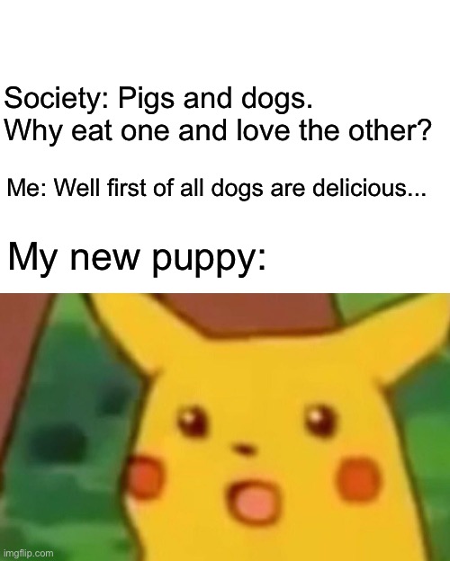 poor doggo | Society: Pigs and dogs. Why eat one and love the other? Me: Well first of all dogs are delicious... My new puppy: | image tagged in memes,surprised pikachu | made w/ Imgflip meme maker