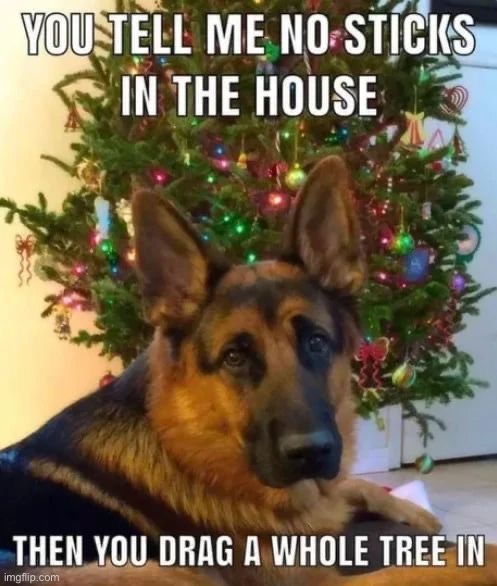 image tagged in memes,funny | made w/ Imgflip meme maker