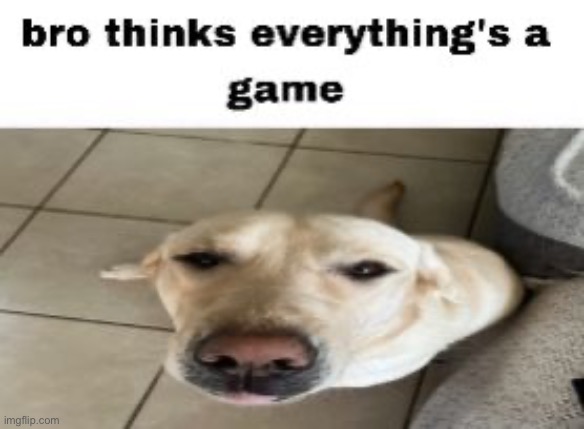 image tagged in memes,funny | made w/ Imgflip meme maker