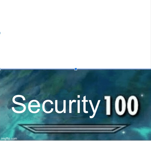 Skyrim Skill level | Security | image tagged in skyrim skill level | made w/ Imgflip meme maker