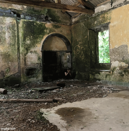 We can stop it... | image tagged in gifs | made w/ Imgflip images-to-gif maker