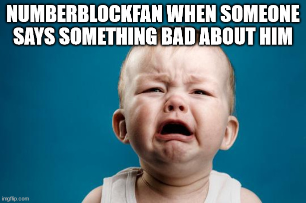 BABY CRYING |  NUMBERBLOCKFAN WHEN SOMEONE SAYS SOMETHING BAD ABOUT HIM | image tagged in baby crying | made w/ Imgflip meme maker