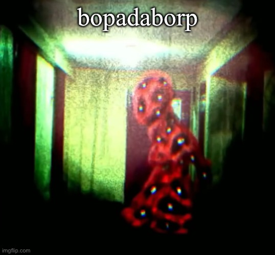 woopwoopwoopwoop | bopadaborp | image tagged in woopwoopwoopwoop | made w/ Imgflip meme maker