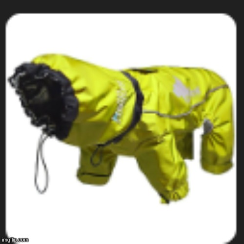 holy shit houndeye half life | made w/ Imgflip meme maker