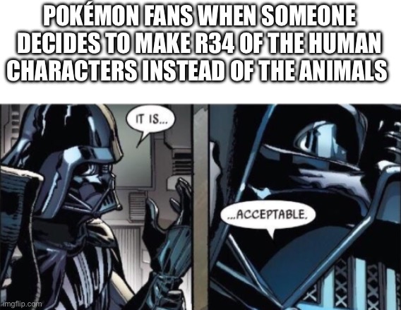 It Is Acceptable | POKÉMON FANS WHEN SOMEONE DECIDES TO MAKE R34 OF THE HUMAN CHARACTERS INSTEAD OF THE ANIMALS | image tagged in it is acceptable | made w/ Imgflip meme maker