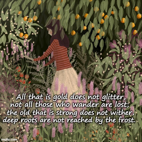 All that is gold does not glitter, not all those who wander are lost;; the old that is strong does not wither, deep roots are not reached by the frost. | image tagged in aging,life | made w/ Imgflip meme maker