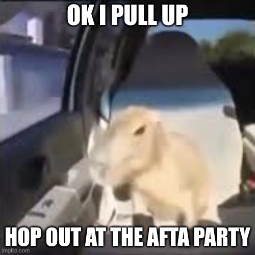 Ok I pull up capybara | OK I PULL UP; HOP OUT AT THE AFTA PARTY | image tagged in ok i pull up capybara | made w/ Imgflip meme maker