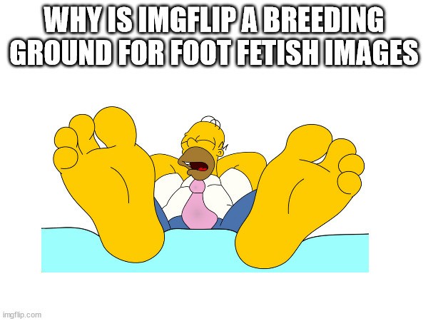 PaleoZilla24 note: Idk man, idk. | WHY IS IMGFLIP A BREEDING GROUND FOR FOOT FETISH IMAGES | made w/ Imgflip meme maker