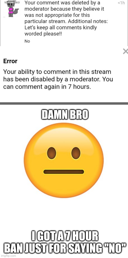 :skull: | DAMN BRO; I GOT A 7 HOUR BAN JUST FOR SAYING "NO" | image tagged in straight face | made w/ Imgflip meme maker