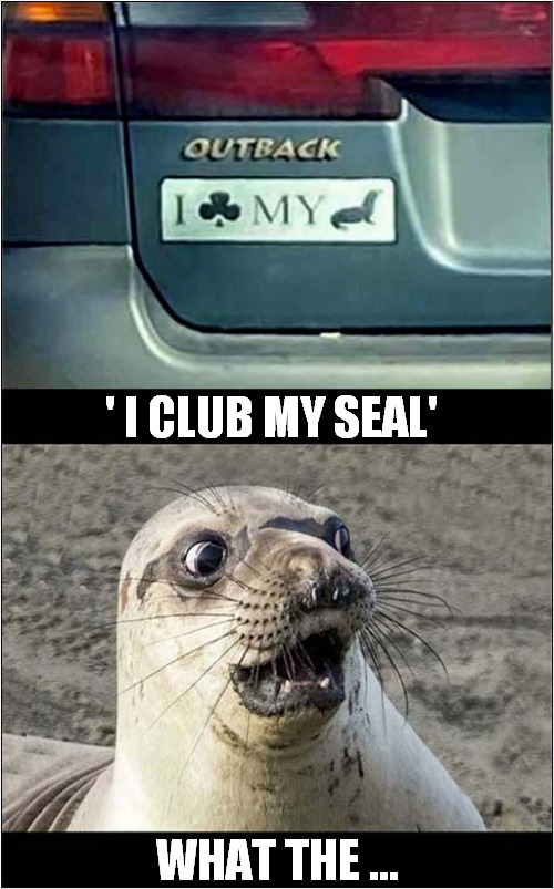One Violent Bumper Sticker | ' I CLUB MY SEAL'; WHAT THE ... | image tagged in bumper sticker,seal,clubbing,dark humour | made w/ Imgflip meme maker