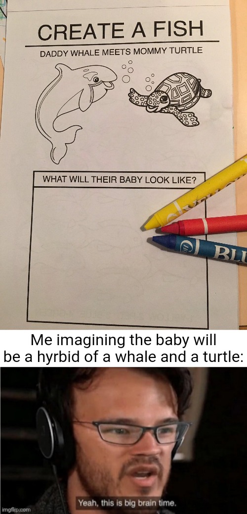 The whale turtle | Me imagining the baby will be a hyrbid of a whale and a turtle: | image tagged in bruh,whale,yeah this is big brain time,turtle,memes,hybrid | made w/ Imgflip meme maker