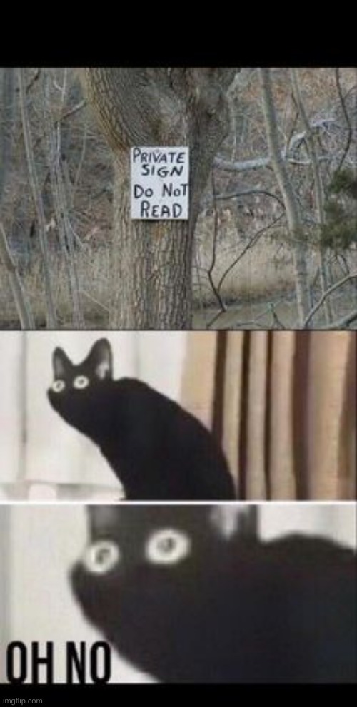 Oh no.. | image tagged in funny,front page,memes,cats | made w/ Imgflip meme maker