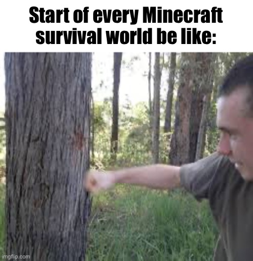 Truth I guess | Start of every Minecraft survival world be like: | image tagged in memes,gaming,minecraft,video games | made w/ Imgflip meme maker