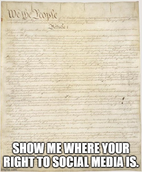 Constitution | SHOW ME WHERE YOUR RIGHT TO SOCIAL MEDIA IS. | image tagged in constitution | made w/ Imgflip meme maker