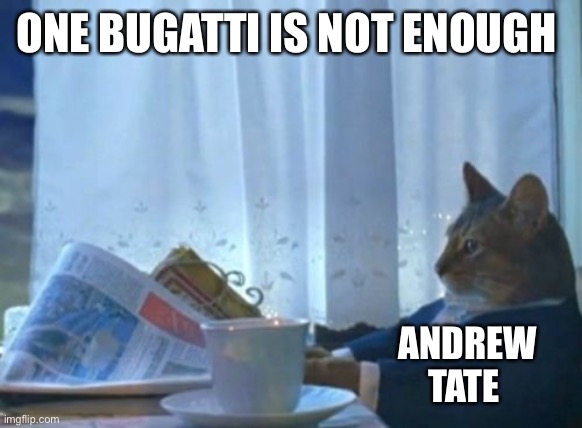 Bruh is rich | ONE BUGATTI IS NOT ENOUGH; ANDREW TATE | image tagged in memes,i should buy a boat cat | made w/ Imgflip meme maker