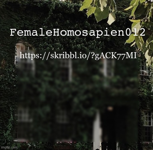 FemaleHomosapien012 | https://skribbl.io/?gACK77MI | image tagged in femalehomosapien012 | made w/ Imgflip meme maker
