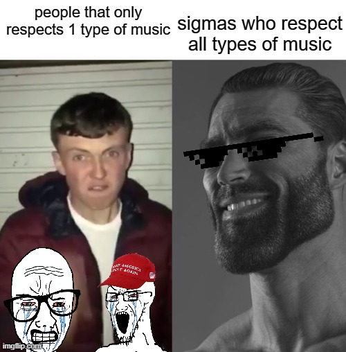 more facts | sigmas who respect all types of music; people that only respects 1 type of music | image tagged in average fan vs average enjoyer | made w/ Imgflip meme maker