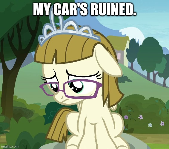 MY CAR'S RUINED. | made w/ Imgflip meme maker