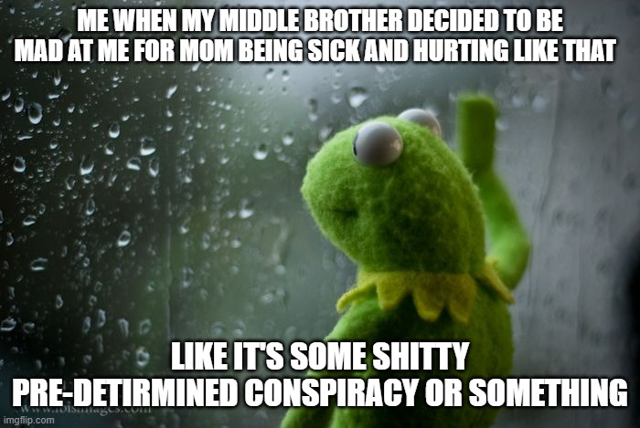 Hopefully when mom gets to feeling better you'll stop being an ass bro |  ME WHEN MY MIDDLE BROTHER DECIDED TO BE MAD AT ME FOR MOM BEING SICK AND HURTING LIKE THAT; LIKE IT'S SOME SHITTY PRE-DETIRMINED CONSPIRACY OR SOMETHING | image tagged in kermit window,memes,scumbag families,relatable,asshole,scumbag | made w/ Imgflip meme maker