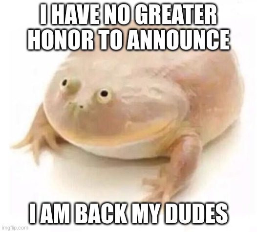 My Dudes | I HAVE NO GREATER HONOR TO ANNOUNCE; I AM BACK MY DUDES | image tagged in my dudes | made w/ Imgflip meme maker