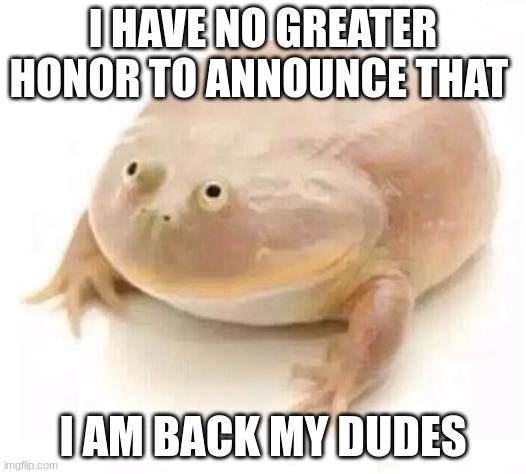 My Dudes | I HAVE NO GREATER HONOR TO ANNOUNCE THAT; I AM BACK MY DUDES | image tagged in my dudes | made w/ Imgflip meme maker