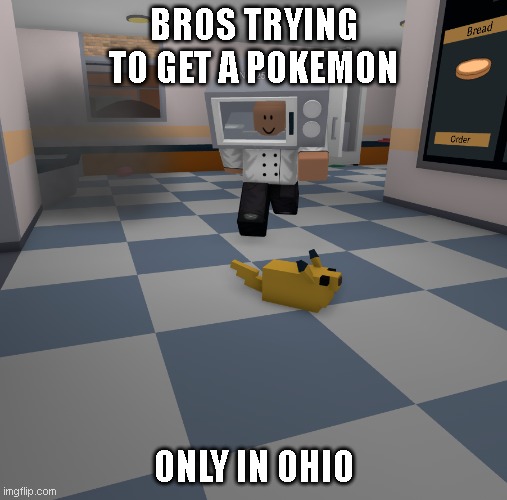 Ohio Pokemon | BROS TRYING TO GET A POKEMON; ONLY IN OHIO | image tagged in roblox ohio pokemon | made w/ Imgflip meme maker