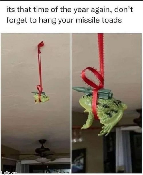 dont forget | image tagged in missiles,toads,missile toads,stop reading the tags,you have been eternally cursed for reading the tags | made w/ Imgflip meme maker