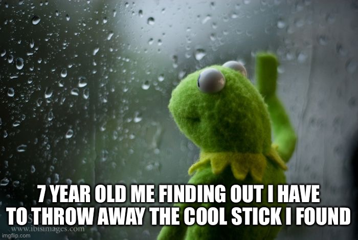 Fr and true |  7 YEAR OLD ME FINDING OUT I HAVE TO THROW AWAY THE COOL STICK I FOUND | image tagged in kermit window,memes,gifs,stick | made w/ Imgflip meme maker