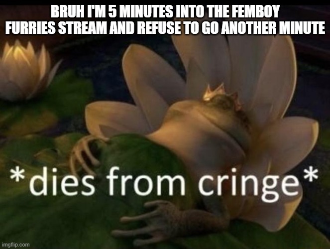 lord save me | BRUH I'M 5 MINUTES INTO THE FEMBOY FURRIES STREAM AND REFUSE TO GO ANOTHER MINUTE | image tagged in dies from cringe | made w/ Imgflip meme maker