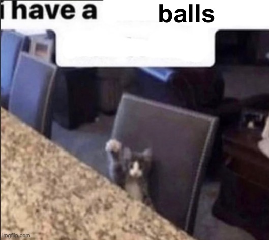 i have a blank | balls | image tagged in i have a blank | made w/ Imgflip meme maker