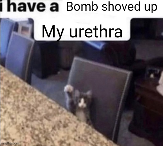 i have a blank | Bomb shoved up; My urethra | image tagged in i have a blank | made w/ Imgflip meme maker