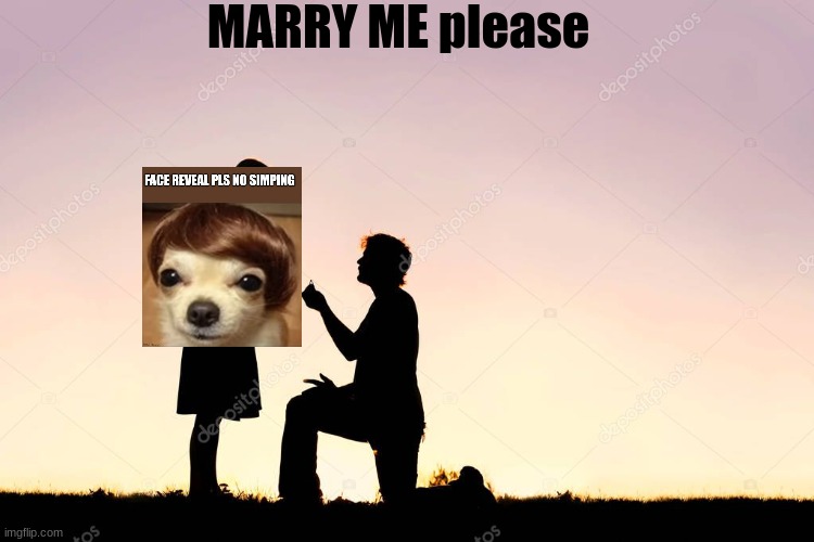 Marry me? | MARRY ME please | image tagged in marry me | made w/ Imgflip meme maker