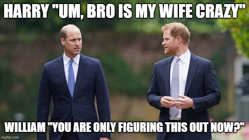 That Royal Conversation | HARRY "UM, BRO IS MY WIFE CRAZY"; WILLIAM "YOU ARE ONLY FIGURING THIS OUT NOW?" | image tagged in royal family | made w/ Imgflip meme maker