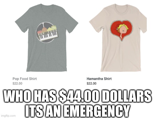 imao | WHO HAS $44.00 DOLLARS 
ITS AN EMERGENCY | image tagged in jack stauber,hamantha,popfood | made w/ Imgflip meme maker
