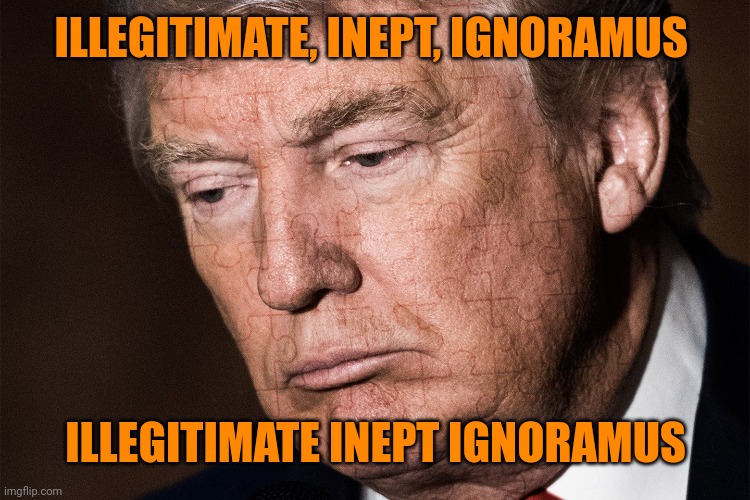 Trump Sad | ILLEGITIMATE, INEPT, IGNORAMUS ILLEGITIMATE INEPT IGNORAMUS | image tagged in trump sad | made w/ Imgflip meme maker