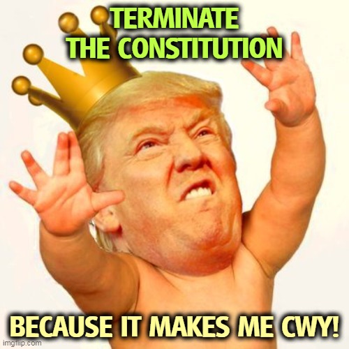 Boo-f*cking-hoo. | TERMINATE THE CONSTITUTION; BECAUSE IT MAKES ME CWY! | image tagged in trump baby w/ crown,trump,crybaby,sore loser,boring,retirement | made w/ Imgflip meme maker