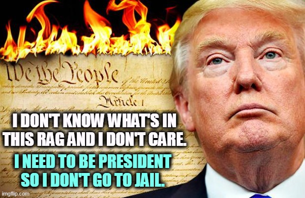 Trump burning the Constitution which he has never read | I DON'T KNOW WHAT'S IN THIS RAG AND I DON'T CARE. I NEED TO BE PRESIDENT SO I DON'T GO TO JAIL. | image tagged in trump burning the constitution which he has never read,trump,prosecution,fear,coward,president | made w/ Imgflip meme maker