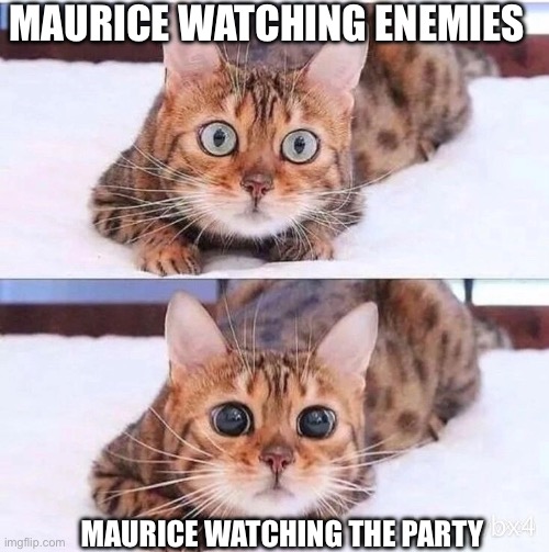 Maurice is a good boy | MAURICE WATCHING ENEMIES; MAURICE WATCHING THE PARTY | image tagged in dnd | made w/ Imgflip meme maker